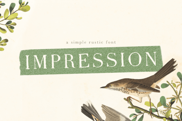 Impression Font for Editorial Design and Content Creation
